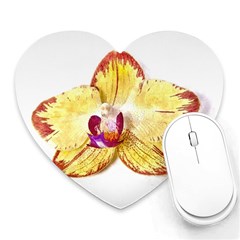 Yellow Phalaenopsis Flower, Floral Aquarel Watercolor Painting Art Heart Mousepads by picsaspassion