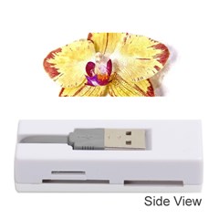 Yellow Phalaenopsis Flower, Floral Aquarel Watercolor Painting Art Memory Card Reader (stick)  by picsaspassion