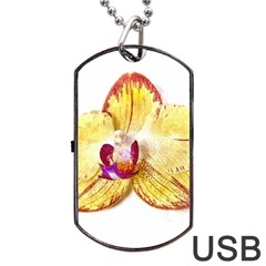 Yellow Phalaenopsis Flower, Floral Aquarel Watercolor Painting Art Dog Tag Usb Flash (one Side) by picsaspassion