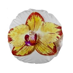 Yellow Phalaenopsis Flower, Floral Aquarel Watercolor Painting Art Standard 15  Premium Round Cushions by picsaspassion