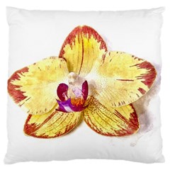 Yellow Phalaenopsis Flower, Floral Aquarel Watercolor Painting Art Standard Flano Cushion Case (one Side) by picsaspassion