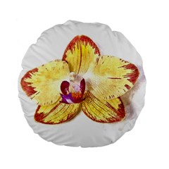 Yellow Phalaenopsis Flower, Floral Aquarel Watercolor Painting Art Standard 15  Premium Flano Round Cushions by picsaspassion