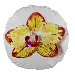 Yellow Phalaenopsis Flower, Floral Aquarel Watercolor Painting Art Large 18  Premium Flano Round Cushions by picsaspassion