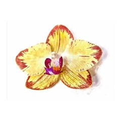 Yellow Phalaenopsis Flower, Floral Aquarel Watercolor Painting Art Double Sided Flano Blanket (mini)  by picsaspassion