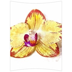 Yellow Phalaenopsis Flower, Floral Aquarel Watercolor Painting Art Back Support Cushion by picsaspassion