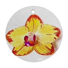 Phalaenopsis Yellow Flower, Floral Oil Painting Art Ornament (round) by picsaspassion