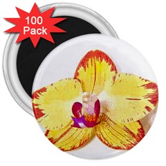 Phalaenopsis Yellow Flower, Floral Oil Painting Art 3  Magnets (100 Pack) by picsaspassion