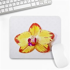 Phalaenopsis Yellow Flower, Floral Oil Painting Art Large Mousepads by picsaspassion