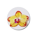 Phalaenopsis Yellow flower, floral oil painting art Rubber Round Coaster (4 pack)  Front