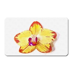 Phalaenopsis Yellow Flower, Floral Oil Painting Art Magnet (rectangular) by picsaspassion