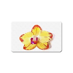 Phalaenopsis Yellow Flower, Floral Oil Painting Art Magnet (name Card) by picsaspassion