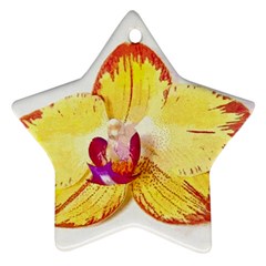 Phalaenopsis Yellow Flower, Floral Oil Painting Art Star Ornament (two Sides) by picsaspassion