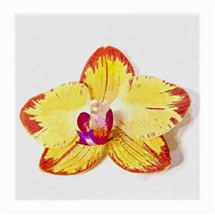 Phalaenopsis Yellow Flower, Floral Oil Painting Art Medium Glasses Cloth (2-side) by picsaspassion