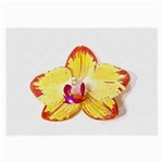 Phalaenopsis Yellow flower, floral oil painting art Large Glasses Cloth Front