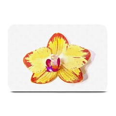 Phalaenopsis Yellow Flower, Floral Oil Painting Art Plate Mats by picsaspassion