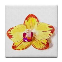 Phalaenopsis Yellow Flower, Floral Oil Painting Art Face Towel by picsaspassion