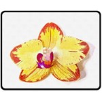 Phalaenopsis Yellow flower, floral oil painting art Fleece Blanket (Medium)  60 x50  Blanket Front