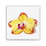 Phalaenopsis Yellow flower, floral oil painting art Memory Card Reader (Square)  Front