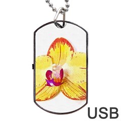 Phalaenopsis Yellow Flower, Floral Oil Painting Art Dog Tag Usb Flash (one Side) by picsaspassion