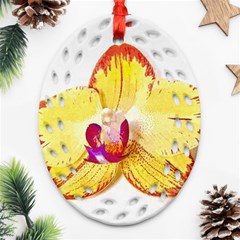 Phalaenopsis Yellow Flower, Floral Oil Painting Art Ornament (oval Filigree) by picsaspassion