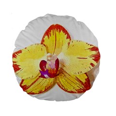 Phalaenopsis Yellow Flower, Floral Oil Painting Art Standard 15  Premium Round Cushions by picsaspassion