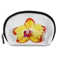 Phalaenopsis Yellow Flower, Floral Oil Painting Art Accessory Pouches (large)  by picsaspassion