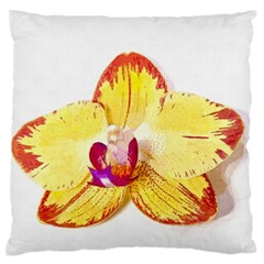 Phalaenopsis Yellow Flower, Floral Oil Painting Art Large Flano Cushion Case (two Sides) by picsaspassion