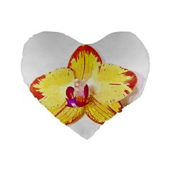 Phalaenopsis Yellow Flower, Floral Oil Painting Art Standard 16  Premium Flano Heart Shape Cushions by picsaspassion