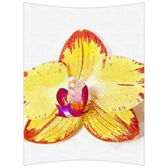 Phalaenopsis Yellow Flower, Floral Oil Painting Art Back Support Cushion