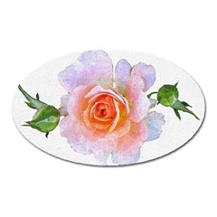 Pink Rose Flower, Floral Oil Painting Art Oval Magnet by picsaspassion