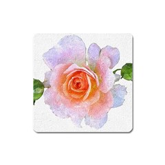 Pink Rose Flower, Floral Oil Painting Art Square Magnet by picsaspassion