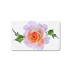 Pink Rose Flower, Floral Oil Painting Art Magnet (name Card) by picsaspassion