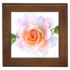 Pink Rose Flower, Floral Watercolor Aquarel Painting Art Framed Tiles