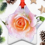 Pink Rose flower, floral watercolor aquarel painting art Ornament (Star) Front