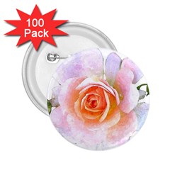 Pink Rose Flower, Floral Watercolor Aquarel Painting Art 2 25  Buttons (100 Pack)  by picsaspassion