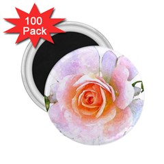 Pink Rose Flower, Floral Watercolor Aquarel Painting Art 2 25  Magnets (100 Pack)  by picsaspassion