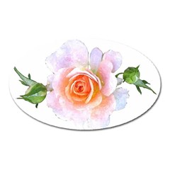 Pink Rose Flower, Floral Watercolor Aquarel Painting Art Oval Magnet by picsaspassion