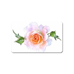 Pink Rose Flower, Floral Watercolor Aquarel Painting Art Magnet (name Card) by picsaspassion