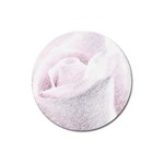 Rose pink flower. floral pencil drawing art Magnet 3  (Round) Front