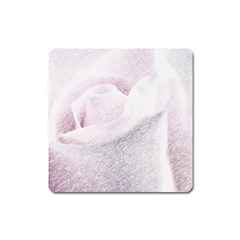 Rose Pink Flower  Floral Pencil Drawing Art Square Magnet by picsaspassion