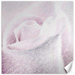 Rose pink flower. floral pencil drawing art Canvas 12  x 12   11.4 x11.56  Canvas - 1