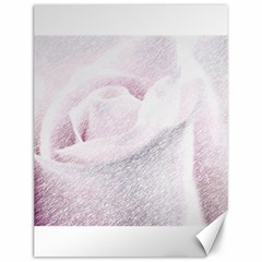 Rose Pink Flower  Floral Pencil Drawing Art Canvas 12  X 16   by picsaspassion