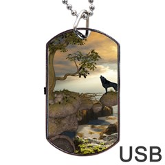 The Lonely Wolf On The Flying Rock Dog Tag Usb Flash (two Sides) by FantasyWorld7