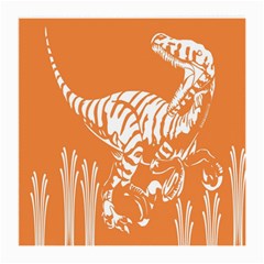 Animals Dinosaur Ancient Times Medium Glasses Cloth (2-side)