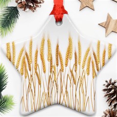 Wheat Plants Ornament (star)