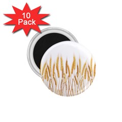 Wheat Plants 1 75  Magnets (10 Pack) 