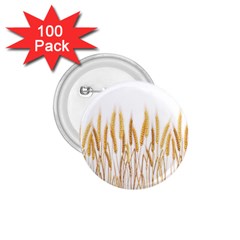 Wheat Plants 1 75  Buttons (100 Pack) 