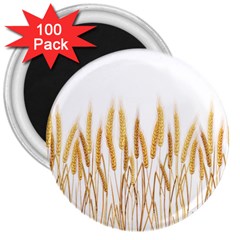 Wheat Plants 3  Magnets (100 Pack)