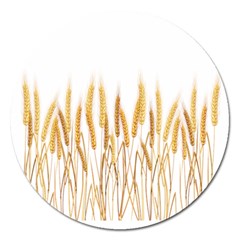 Wheat Plants Magnet 5  (round)