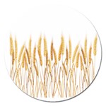 Wheat Plants Magnet 5  (Round) Front